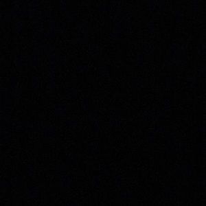 Meet your Posher, Isabelle